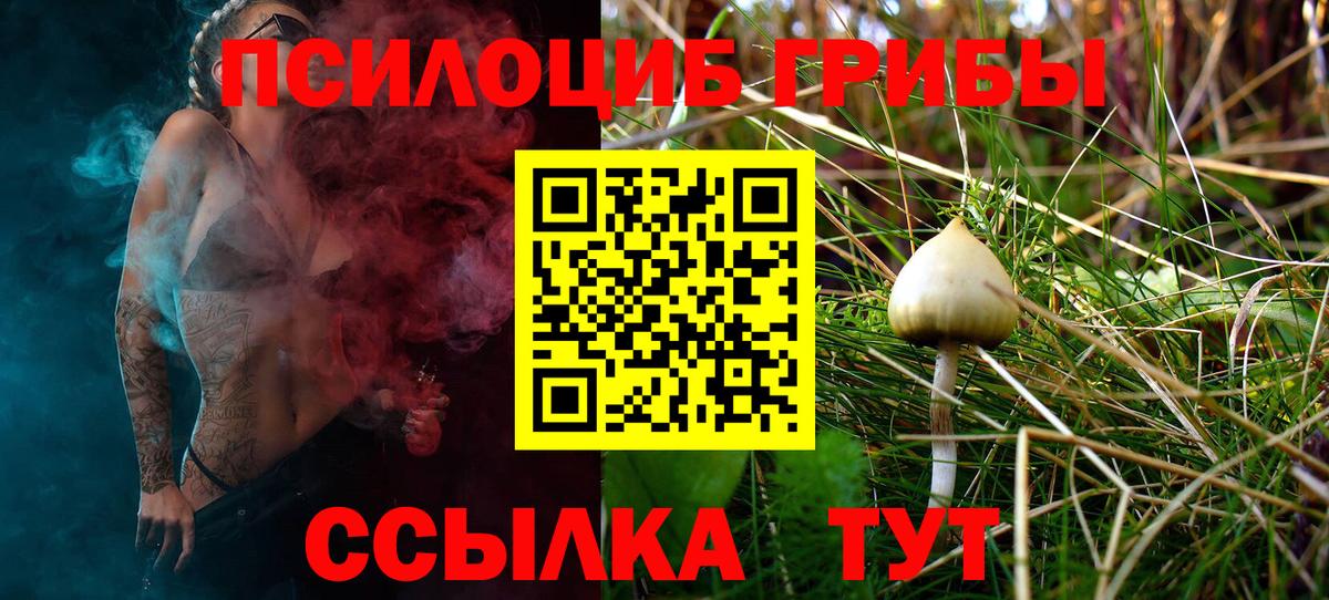 Ливны  Псилоцибиновые грибы MAGIC MUSHROOMS  Вход с VPN  Галлюциногенные грибы мицелий 